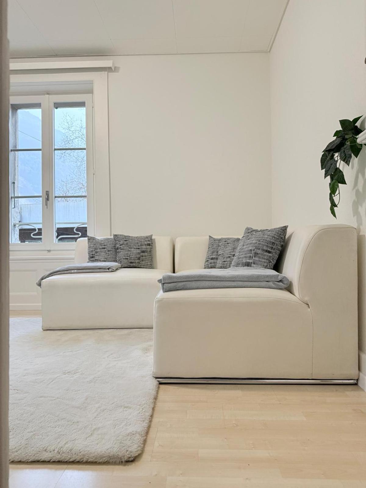 Saleve-geneve Pas-de-l'echelle Apartment Veyrier